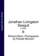 бесплатно читать книгу Jonathan Livingston Seagull: A story автора Ричард Бах