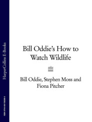 бесплатно читать книгу Bill Oddie’s How to Watch Wildlife автора Stephen Moss