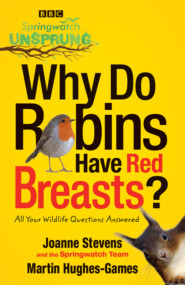 бесплатно читать книгу Springwatch Unsprung: Why Do Robins Have Red Breasts? автора Jo Stevens