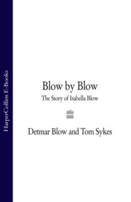 бесплатно читать книгу Blow by Blow: The Story of Isabella Blow автора Tom Sykes