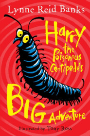 бесплатно читать книгу Harry the Poisonous Centipede’s Big Adventure автора Tony Ross