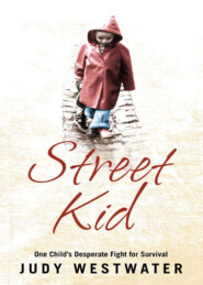 бесплатно читать книгу Street Kid: One Child’s Desperate Fight for Survival автора Judy Westwater