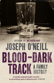 бесплатно читать книгу Blood-Dark Track: A Family History автора Joseph O’Neill