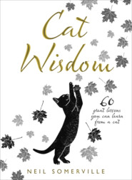 бесплатно читать книгу Cat Wisdom: 60 great lessons you can learn from a cat автора Neil Somerville