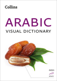 бесплатно читать книгу Collins Arabic Visual Dictionary автора Collins Dictionaries