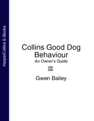 бесплатно читать книгу Collins Good Dog Behaviour: An Owner’s Guide автора Gwen Bailey