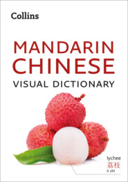 бесплатно читать книгу Collins Mandarin Chinese Visual Dictionary автора Collins Dictionaries