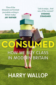 бесплатно читать книгу Consumed: How We Buy Class in Modern Britain автора Harry Wallop