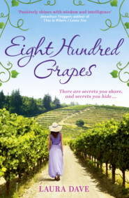 бесплатно читать книгу Eight Hundred Grapes: a perfect summer escape to a sun-drenched vineyard автора Laura Dave