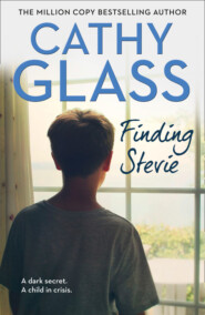 бесплатно читать книгу Finding Stevie: A teenager in crisis автора Cathy Glass
