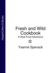 бесплатно читать книгу Fresh and Wild Cookbook: A Real Food Adventure автора Ysanne Spevack