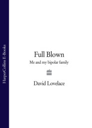 бесплатно читать книгу Full Blown: Me and My Bipolar Family автора David Lovelace