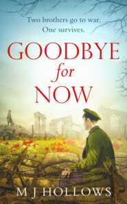 бесплатно читать книгу Goodbye for Now: A breathtaking historical debut автора M.J. Hollows