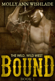 бесплатно читать книгу Bound: A sizzling hot Western romance автора Molly Wishlade