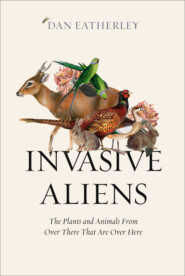 бесплатно читать книгу Invasive Aliens: Rabbits, rhododendrons, and the other animals and plants taking over the British Countryside автора Dan Eatherley