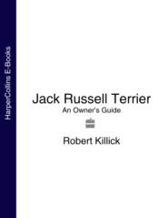 бесплатно читать книгу Jack Russell Terrier: An Owner’s Guide автора Robert Killick