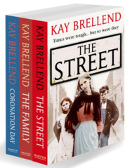 бесплатно читать книгу Kay Brellend 3-Book Collection: The Street, The Family, Coronation Day автора Kay Brellend
