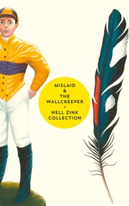 бесплатно читать книгу Mislaid & The Wallcreeper: The Nell Zink Collection автора Nell Zink