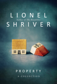 бесплатно читать книгу Property: A Collection автора Lionel Shriver