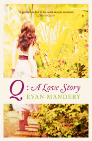 бесплатно читать книгу Q: A Love Story автора Evan Mandery