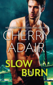 бесплатно читать книгу Slow Burn: Seducing Mr. Right / Take Me автора Cherry Adair