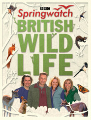 бесплатно читать книгу Springwatch British Wildlife: Accompanies the BBC 2 TV series автора Stephen Moss
