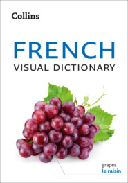 бесплатно читать книгу Collins French Visual Dictionary автора Collins Dictionaries