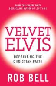 бесплатно читать книгу Velvet Elvis: Repainting the Christian Faith автора Rob Bell