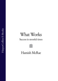 бесплатно читать книгу What Works: Success in Stressful Times автора Hamish McRae