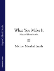 бесплатно читать книгу What You Make It: Selected Short Stories автора Michael Smith