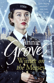 бесплатно читать книгу Winter on the Mersey: A Heartwarming Christmas Saga автора Annie Groves