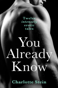 бесплатно читать книгу You Already Know: Twelve Erotic Stories автора Charlotte Stein