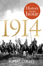 бесплатно читать книгу 1914: History in an Hour автора Rupert Colley