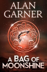 бесплатно читать книгу A Bag Of Moonshine автора Alan Garner