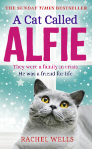 бесплатно читать книгу A Cat Called Alfie автора Rachel Wells