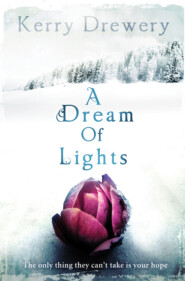 бесплатно читать книгу A DREAM OF LIGHTS автора Kerry Drewery
