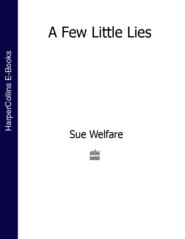 бесплатно читать книгу A Few Little Lies автора Sue Welfare