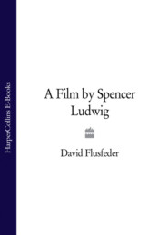 бесплатно читать книгу A Film by Spencer Ludwig автора David Flusfeder