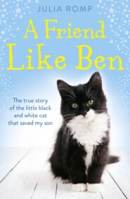 бесплатно читать книгу A Friend Like Ben: The true story of the little black and white cat that saved my son автора Julia Romp