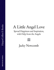 бесплатно читать книгу A Little Angel Love: Spread Happiness and Inspiration, with Help from the Angels автора Jacky Newcomb