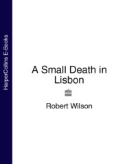 бесплатно читать книгу A Small Death in Lisbon автора Robert Wilson