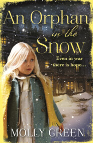 бесплатно читать книгу An Orphan in the Snow: The heart-warming saga you need to read this year автора Molly Green
