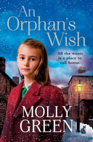 бесплатно читать книгу An Orphan’s Wish: The new, most heartwarming of christmas novels you will read in 2018 автора Molly Green