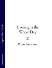 бесплатно читать книгу Evening Is the Whole Day автора Preeta Samarasan