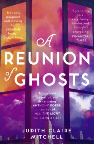 бесплатно читать книгу A Reunion of Ghosts автора Judith Mitchell