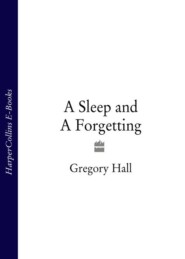 бесплатно читать книгу A Sleep and A Forgetting автора Gregory Hall