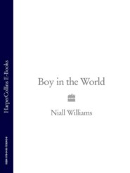 бесплатно читать книгу Boy in the World автора Niall Williams