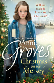 бесплатно читать книгу Christmas on the Mersey автора Annie Groves