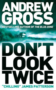 бесплатно читать книгу Don’t Look Twice автора Andrew Gross
