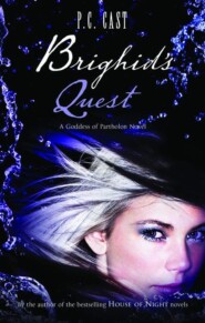бесплатно читать книгу Brighid's Quest автора P.C. Cast